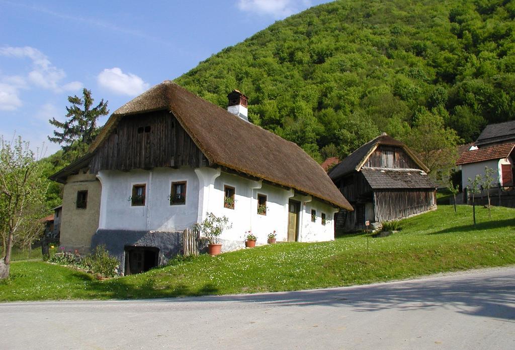 Farm Stay Kramer Bistrica ob Sotli Exterior photo